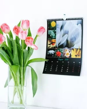 An inexpensive gift to a colleague on International Women's 