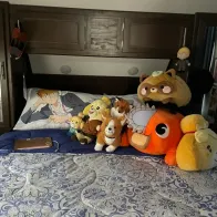 Order a long pillow for home