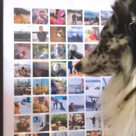 A large and beautiful photo collage in a frame of 48 photos