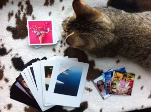 stickers with photos in Yekaterinburg