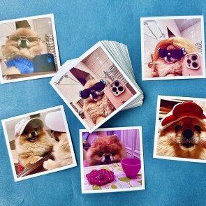 Instagram star Kori stickers (48 pcs.)