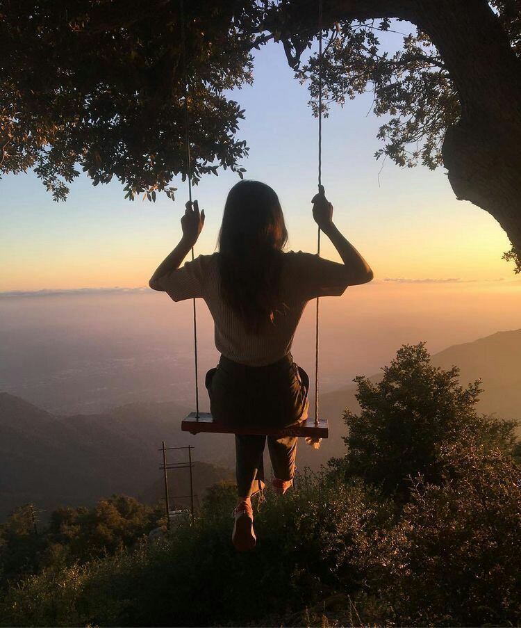 how to take a nice picture on a swing in the woods.